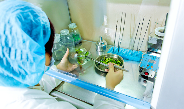 麻将胡了破解版(官方)最新IOS/安卓版/手机版APP下载